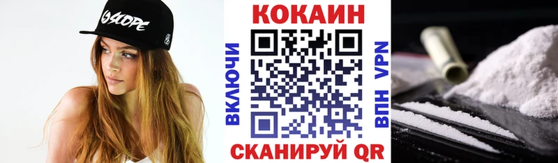 КОКАИН Fish Scale  Купить закладки  Рошаль 