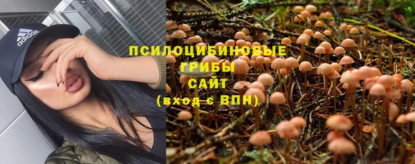 альфа пвп Пролетарск