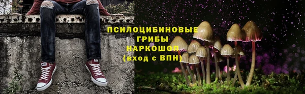 хмурый Протвино