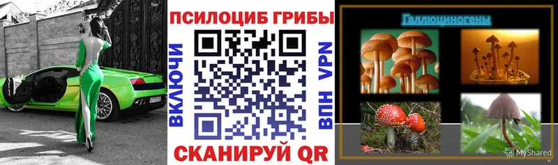 Купить закладки  Рошаль  Псилоцибиновые грибы GOLDEN TEACHER 
